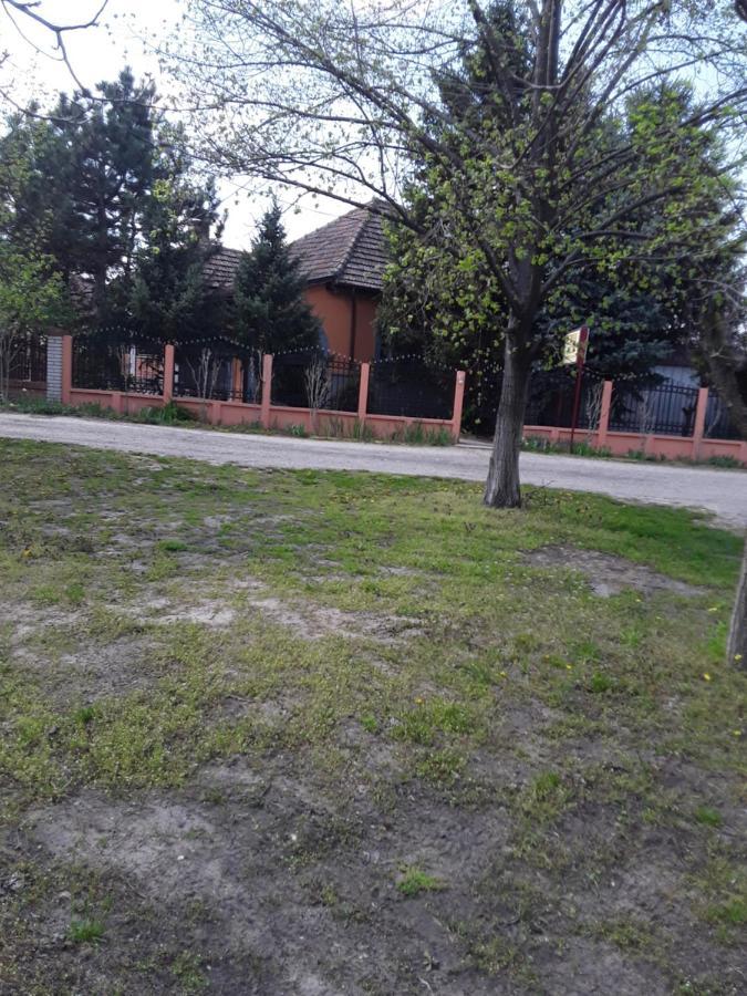 Vila Verona Sobe Palic Bagian luar foto